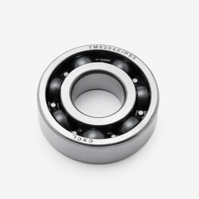 Input  Shaft Bearings 6204