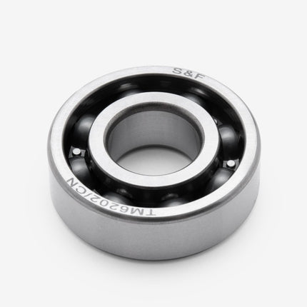 Input Shaft Bearings 6202