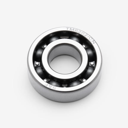 Input Shaft Bearings 6202