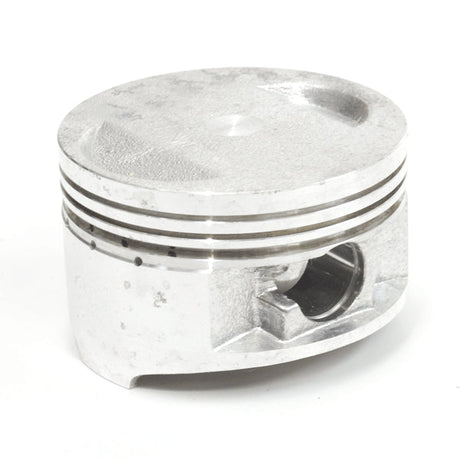 Lextek Piston for TECK08H