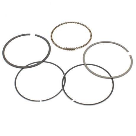 Lextek Piston Rings for TECK08H
