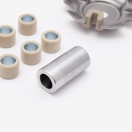 Variator Kit Version 2 with 115mm Back Plate