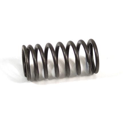 125cc Motorcycle Valve Spring 156FMI-5