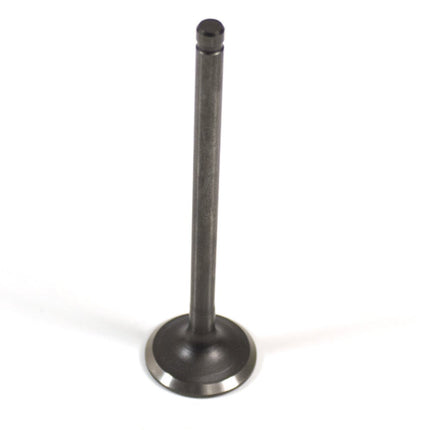 Exhaust Valve ZY125