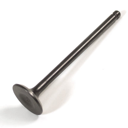 Exhaust Valve ZY125