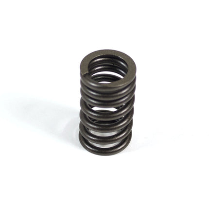 Valve Spring LJ1P52QMI