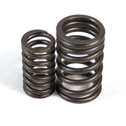 Valve Springs