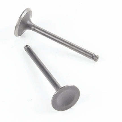 125cc Scooter Inlet and Exhaust Valve 152QMI