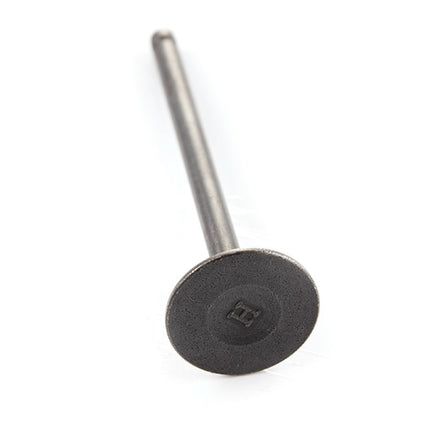 Exhaust Valve
