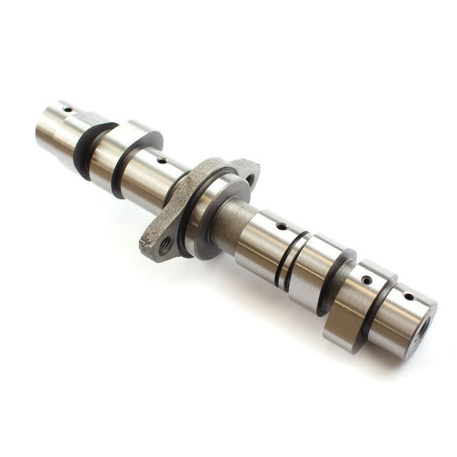 Camshaft for TR380-GP1, MITT400GPR