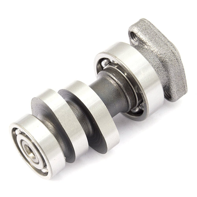 Camshaft for Multiple Models