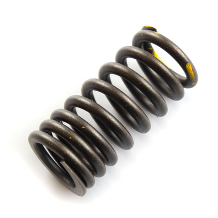 Valve Spring (Each) for TR380-GP1, MITT400GPR