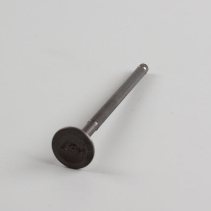 Exhaust Valve for LJ125T-18, LJ125T-18-E5