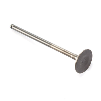 Exhaust Valve (Each) for TR380-GP1, MITT400GPR