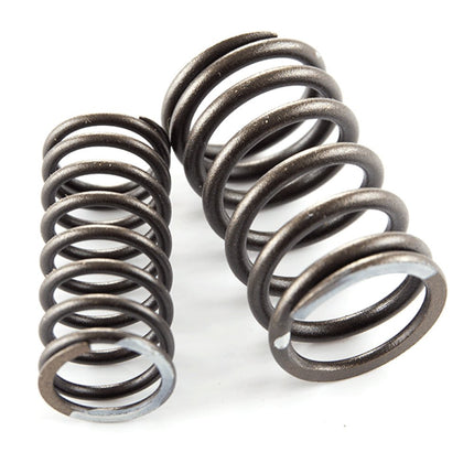 Valve Spring