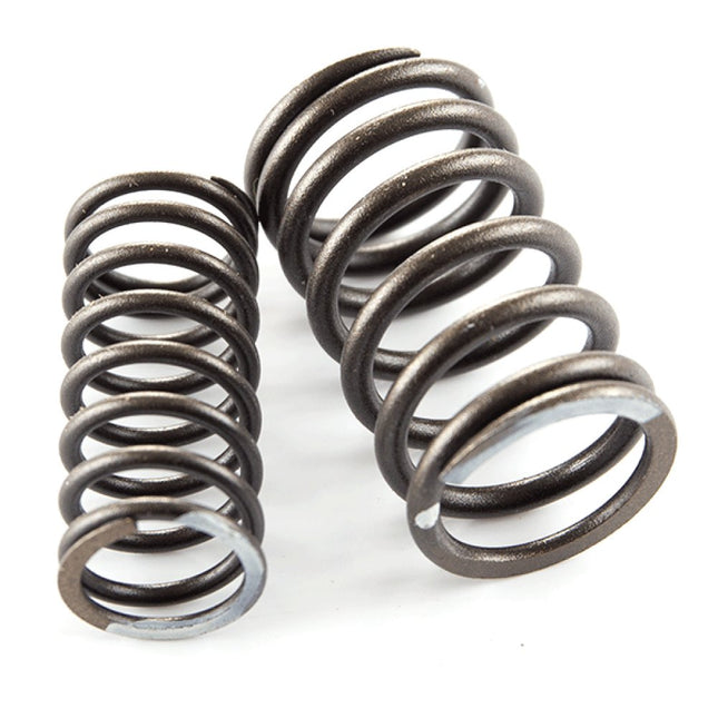 Valve Spring