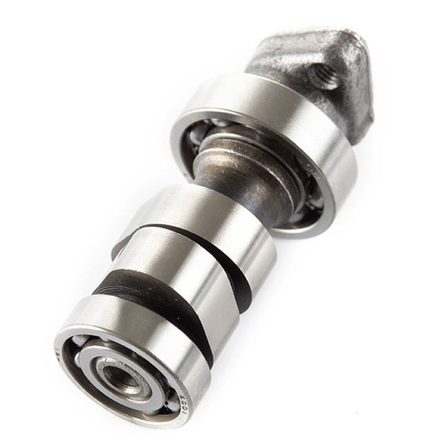 Camshaft for Multiple Models