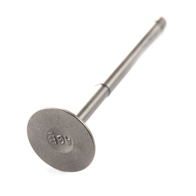 Inlet Valve