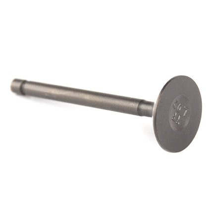 Exhaust Valve for LJ250-3V