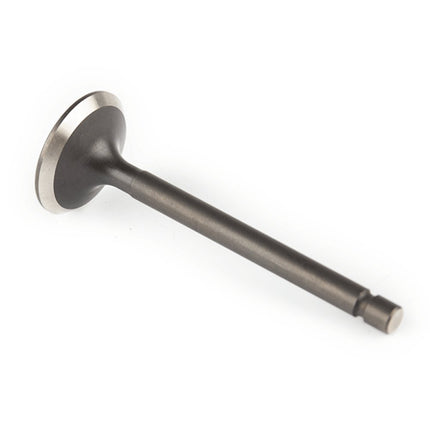 Exhaust Valve for LJ250-3V