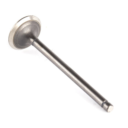 Exhaust Valve for ZS125T-48