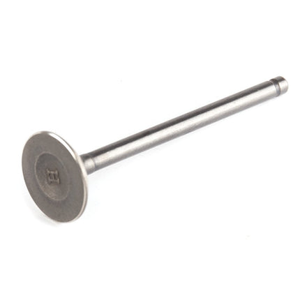 Exhaust Valve for ZS125T-48