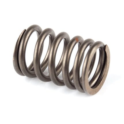 Valve Spring for LJ250-3V