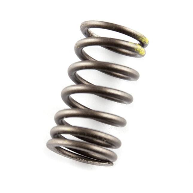 Valve Spring