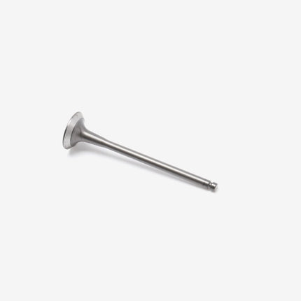 Exhaust Valve for SK125-K