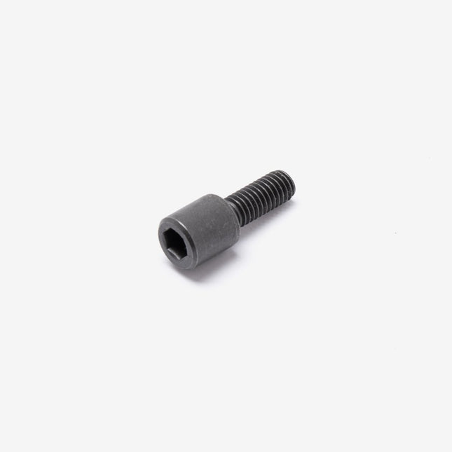 Cam Chain Tensioner Bolt