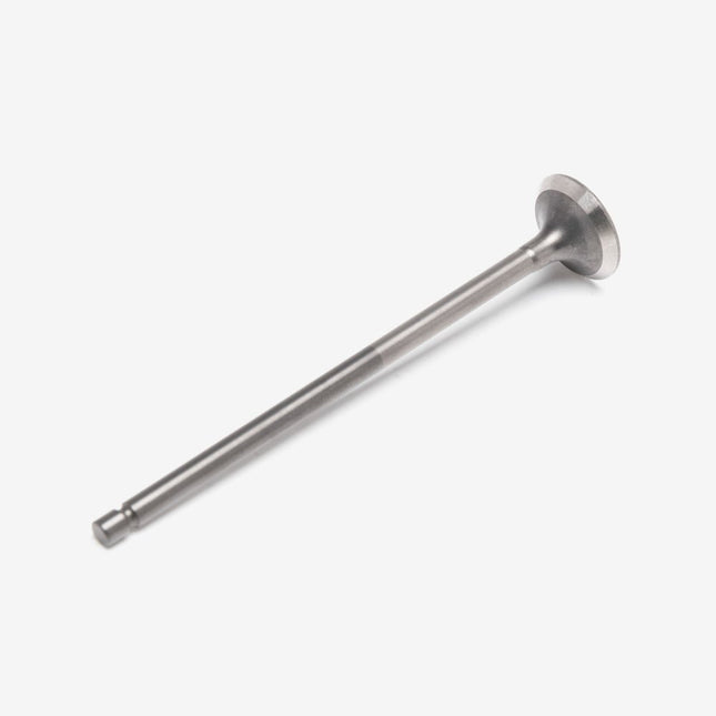 Exhaust Valve