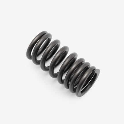 Valve Spring for Lexmoto XDV 125 Euro 5 [LJ125T-18A-E5] / Longjia LJ125T-18A