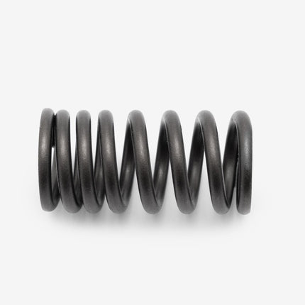 Valve Spring for Lexmoto XDV 125 Euro 5 [LJ125T-18A-E5] / Longjia LJ125T-18A