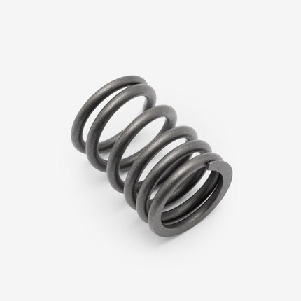Valve Spring for Lexmoto OCR 125 E55 [WB125T-3B-E55]