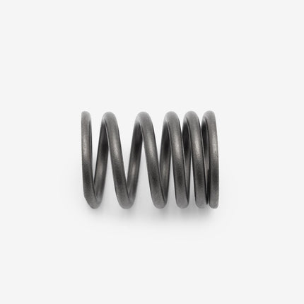 Valve Spring for Lexmoto OCR 125 E55 [WB125T-3B-E55]