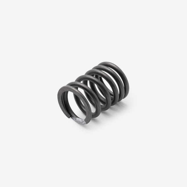 Valve Spring