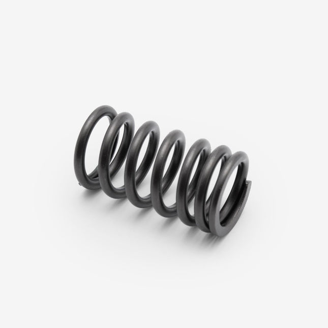 Valve Spring