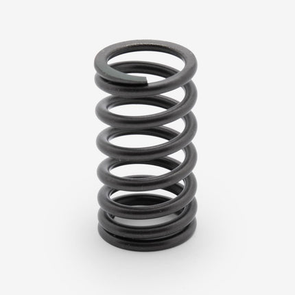 Valve Spring