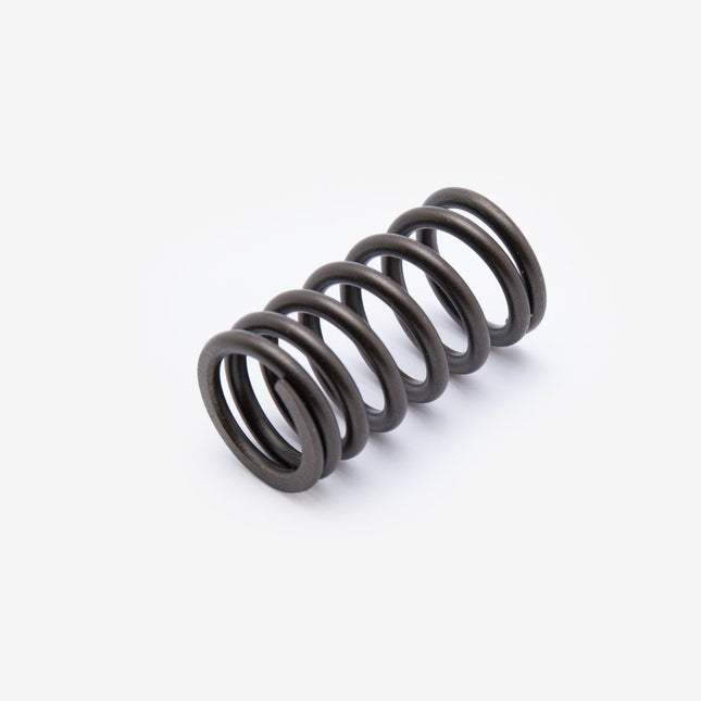 Valve Spring