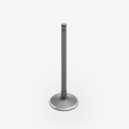 Inlet Valve