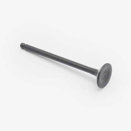 Exhaust Valve