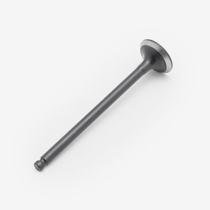 Exhaust Valve