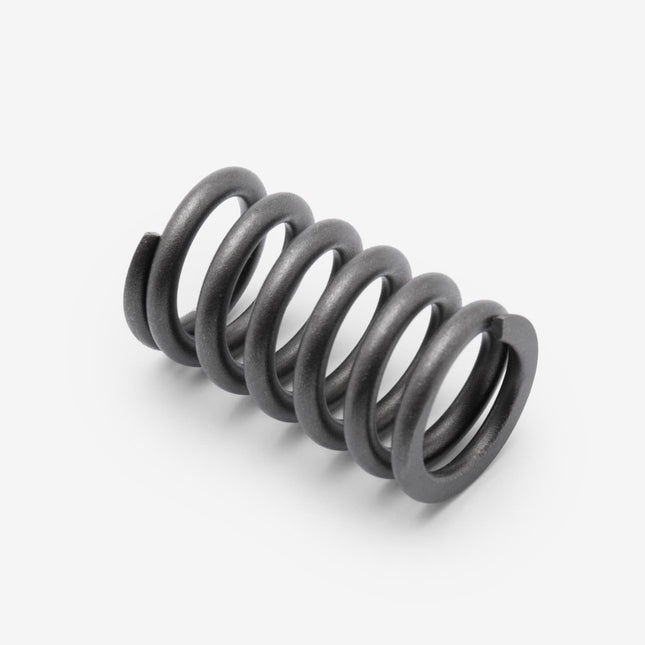 Valve Spring