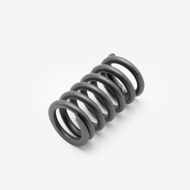 Valve Spring