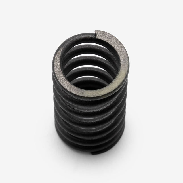 Valve Spring