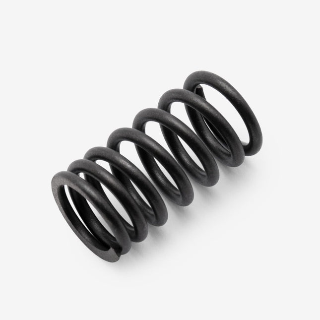Valve Spring