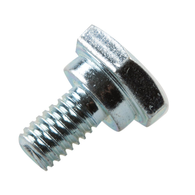 Screw