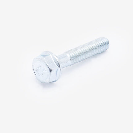 Flange Bolt M6 x 30mm