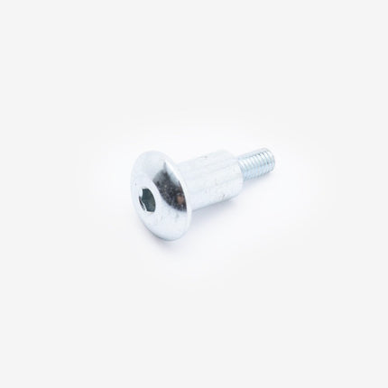 Bolt M6 x 29.7mm for ZS125GY-13-E55 / SR125-A-E55 / ZS125-79C-E55