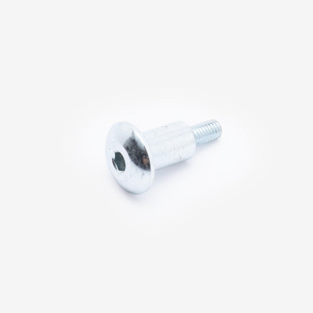 Bolt M6 x 29.7mm